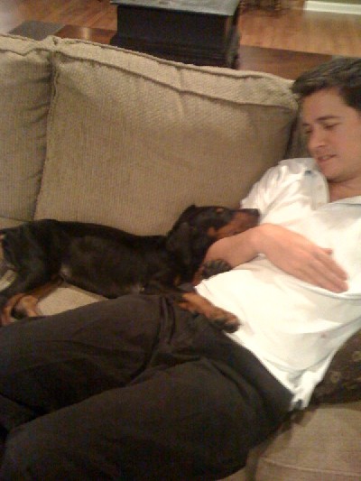 puppybanks.jpg